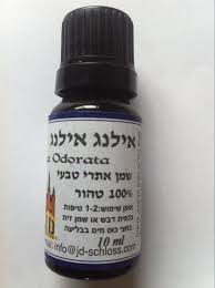 תמונה ממוזערת 1