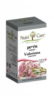 תמונת מוצר 1