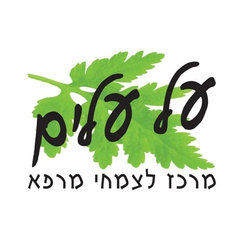 תמונת מוצר 1
