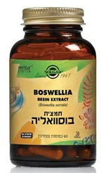 תמונת מוצר 1