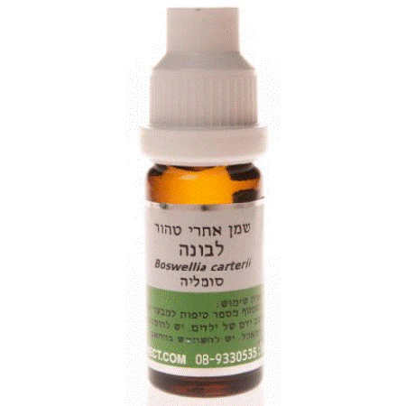 תמונת מוצר 1