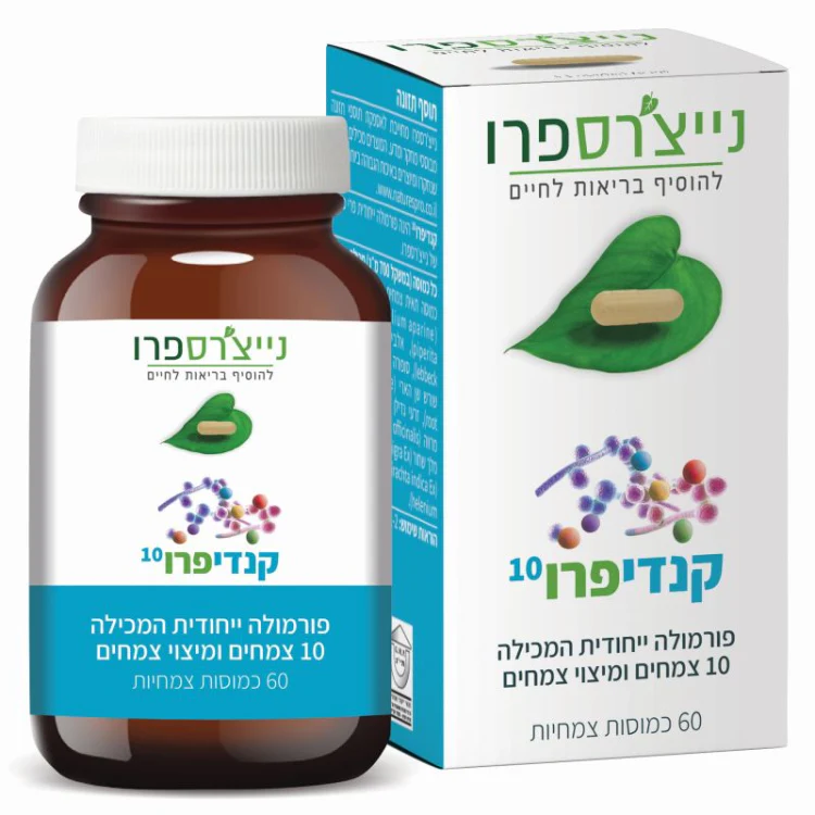 תמונת מוצר 1