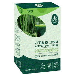 תמונת מוצר 1