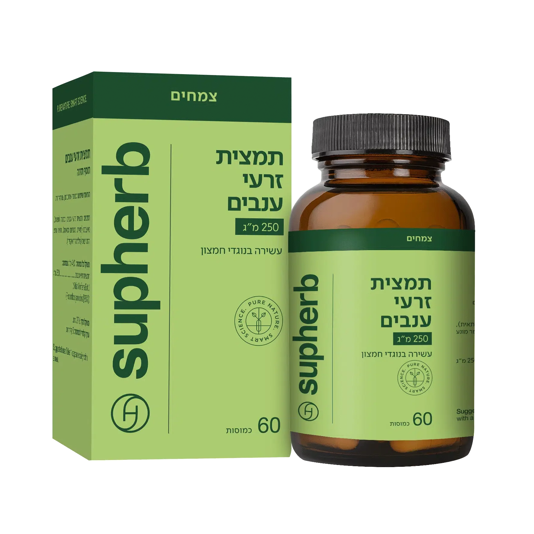 תמונת מוצר 1